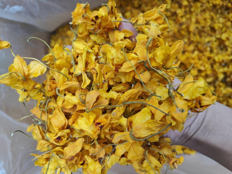 束花石斛花_干花