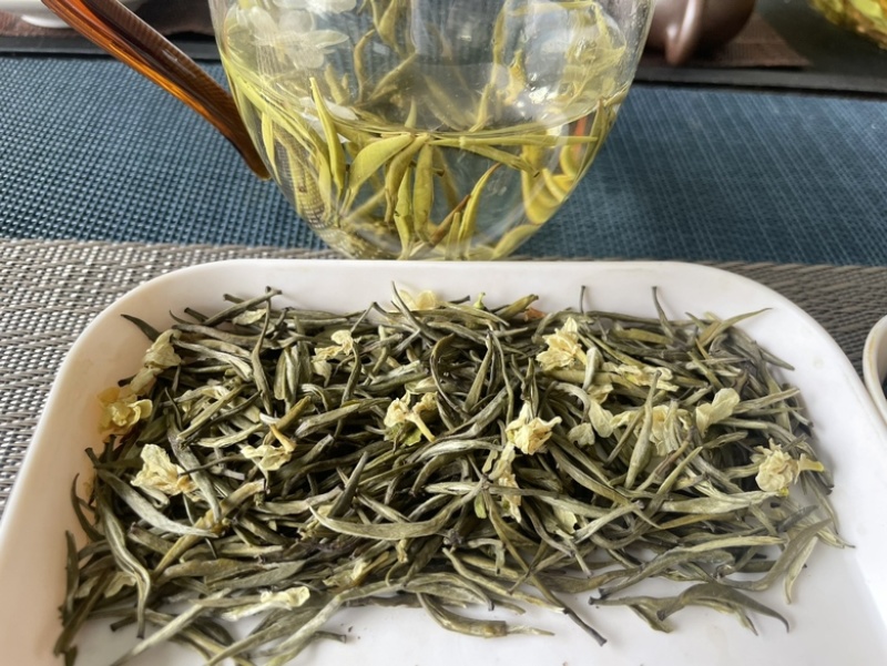 恩施芽头茉莉花