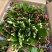 180特级多色蟹爪兰:一箱24颗盆,花苞整齐颜色漂亮