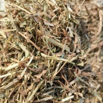 花生秧