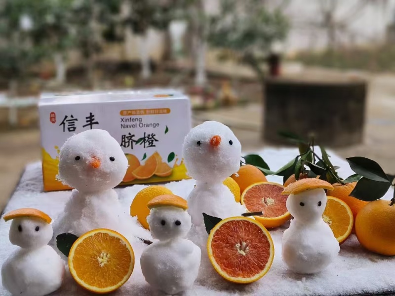 赣州信丰纽荷尔脐橙，精品源头现摘，各种规格包装，按需供应