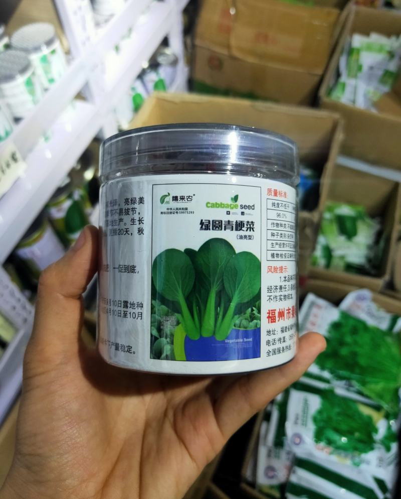 绿圆青梗菜种子