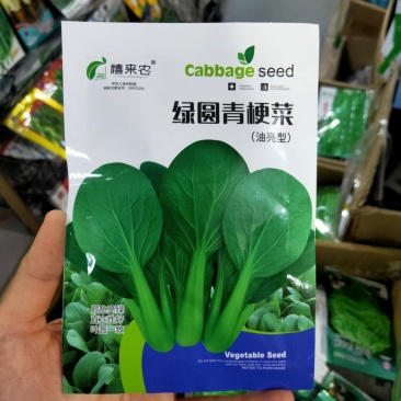 绿圆青梗菜种子