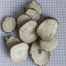 白芷，白芷片无硫，过筛，产地一手货源，新货，实拍现货