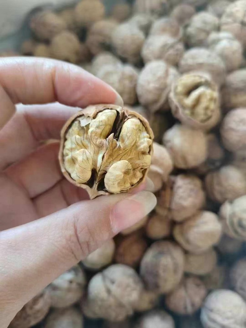 核桃新疆核桃云南麻子核桃薄皮核桃核桃新疆
