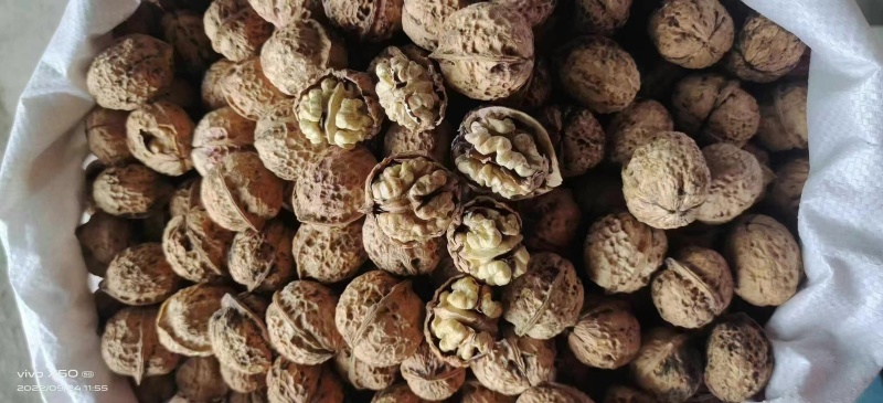 核桃新疆核桃云南麻子核桃薄皮核桃核桃新疆