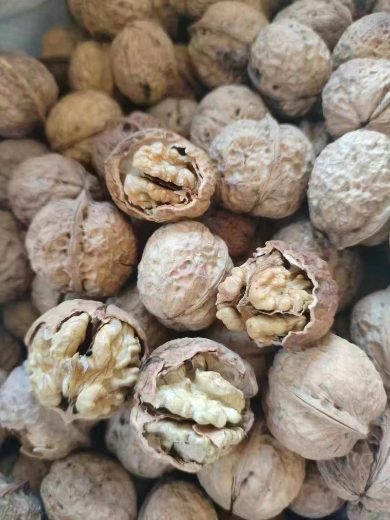 核桃新疆核桃云南麻子核桃薄皮核桃核桃新疆