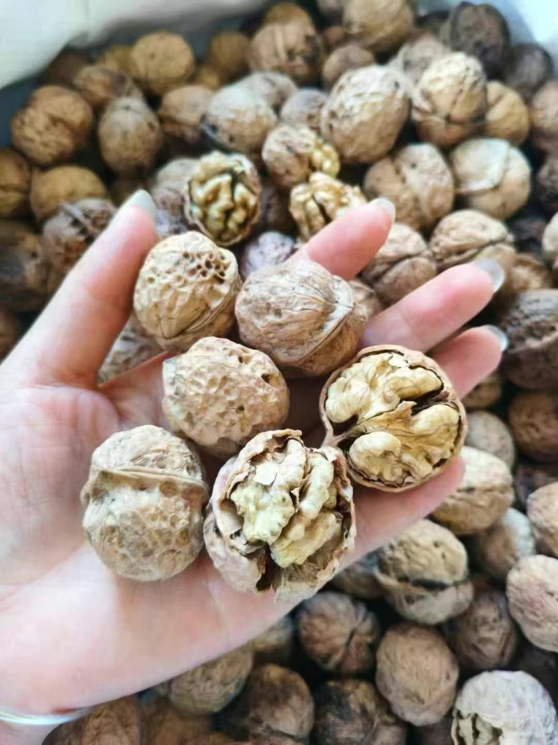 核桃新疆核桃云南麻子核桃薄皮核桃核桃新疆