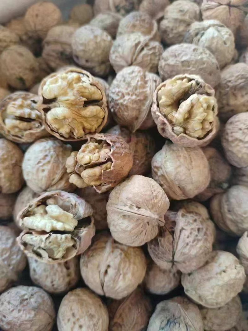 核桃新疆核桃云南麻子核桃薄皮核桃核桃新疆