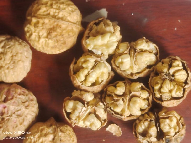 核桃新疆核桃云南麻子核桃薄皮核桃核桃新疆