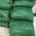 小青椒质量好，量大，诚信经营，长期供应加工厂