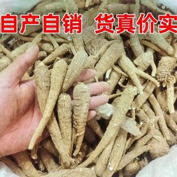 产地白芷-精品个条，二条，小条，自产自销量大从优保证质量