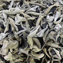 黑木耳干木耳质量保证，量大优惠产地一手货源欢迎实地考察