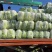 大量现货净菜白某黄必要联系老板