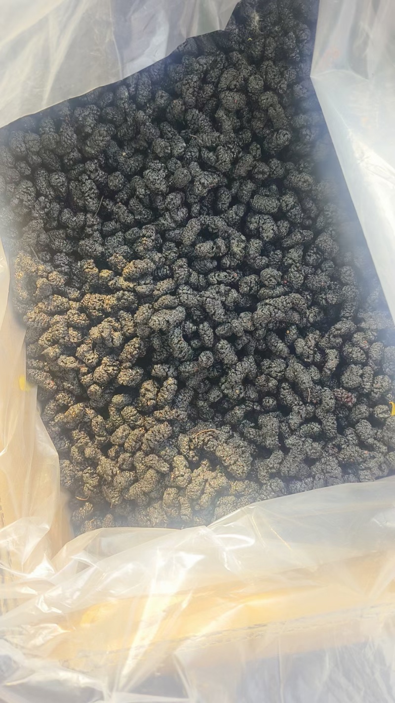 一件代发黑桑葚干各等级都有食品厂专用大量批发