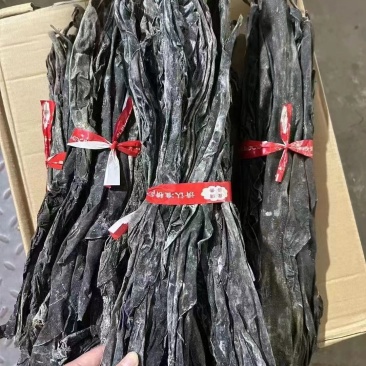 干海带头无沙无杂质高泡发干度好地摊团购爆品欢迎订购