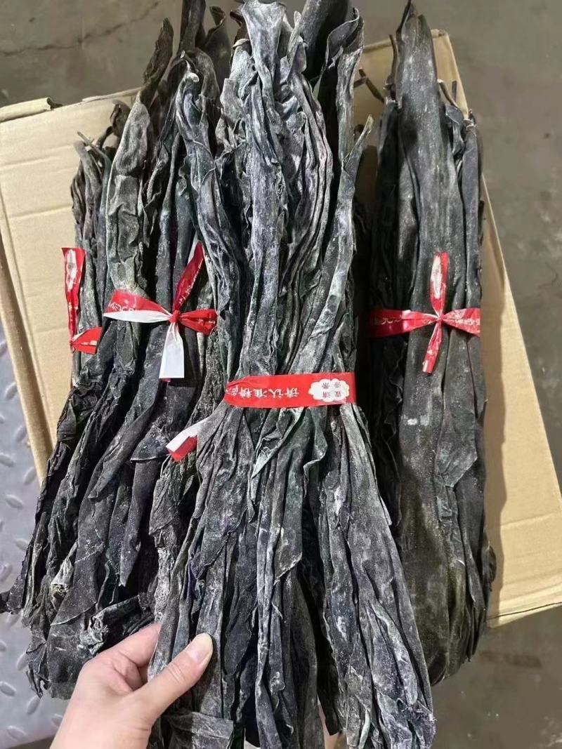 干海带头无沙无杂质高泡发干度好地摊团购爆品欢迎订购