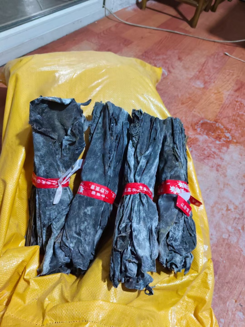 干海带头无沙无杂质高泡发干度好地摊团购爆品欢迎订购