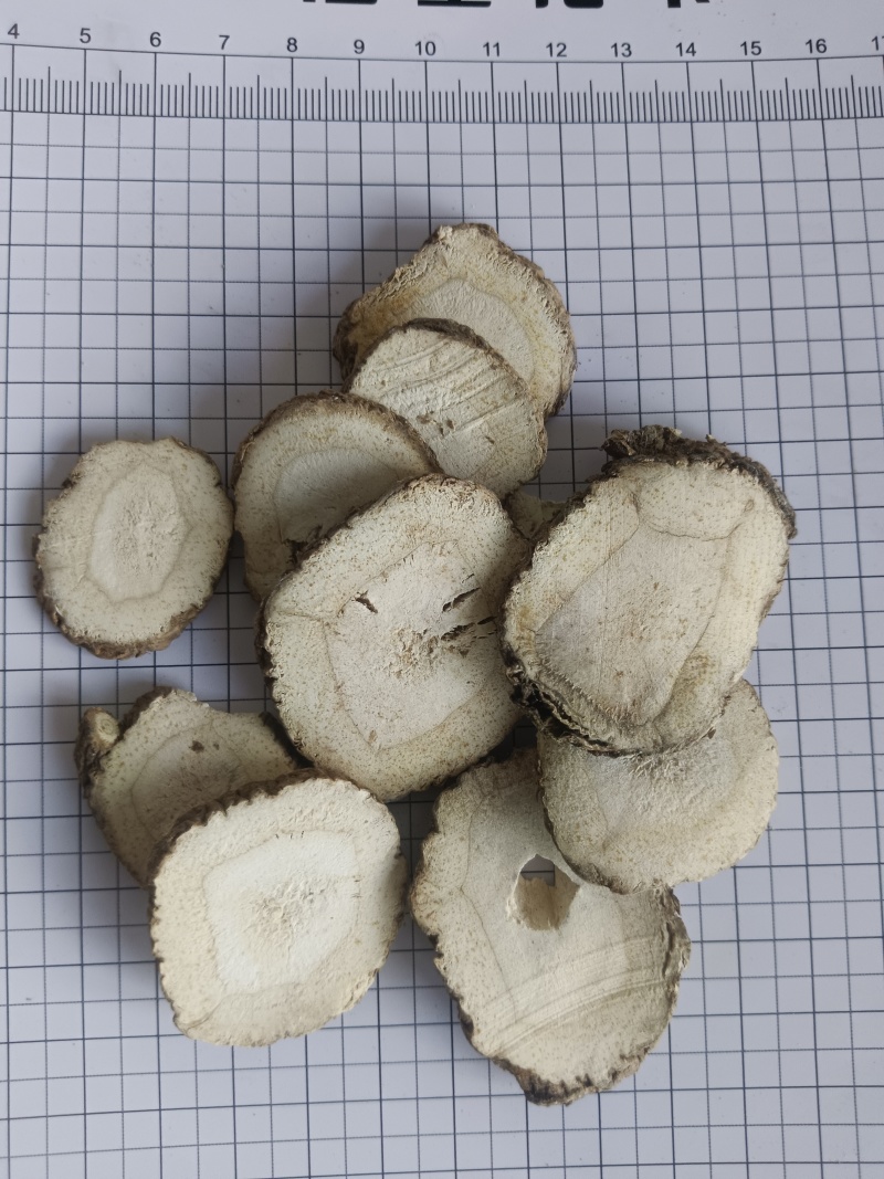 白芷，白芷片无硫，过筛，产地一手货源，新货，实拍现货