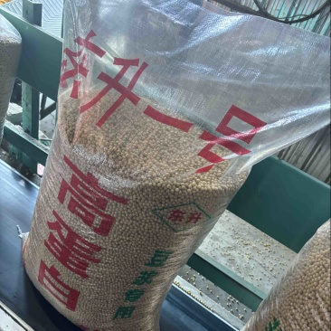 海伦大豆