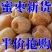 【超低价】特级金丝蜜枣大颗粒无核干蜜枣煲汤煮粥香甜蜜枣特