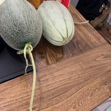 香甜的西周蜜25大量上市