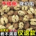 2024云南纸皮核桃新货薄壳野生薄皮山核桃坚果零