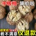 2024云南纸皮核桃新货薄壳野生薄皮山核桃坚果零
