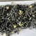 恩施茉莉花茶