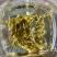 恩施茉莉花茶
