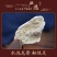 【龙骨】土龙骨，水洗龙骨。中药材批发.质量保证规格齐全.