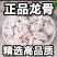 【龙骨】土龙骨，水洗龙骨。中药材批发.质量保证规格齐全.