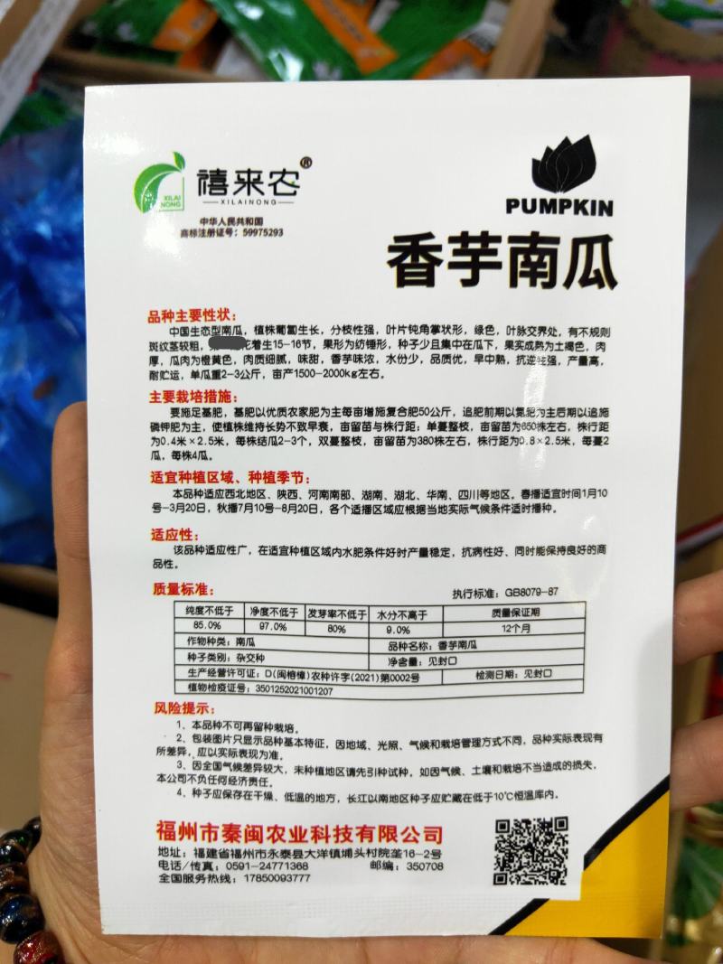 香芋南瓜种子香芋味南瓜蜜本粉南瓜好吃甜糯香芋南瓜种