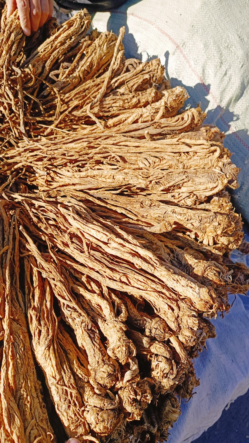 精品水洗独活量大优惠