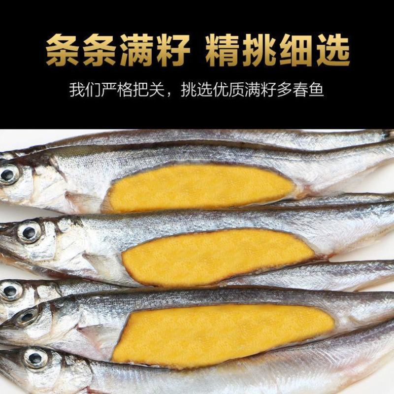 北海湾多春鱼满籽新鲜多籽鱼冷冻鲜活海鲜水产特大海鱼烧烤食