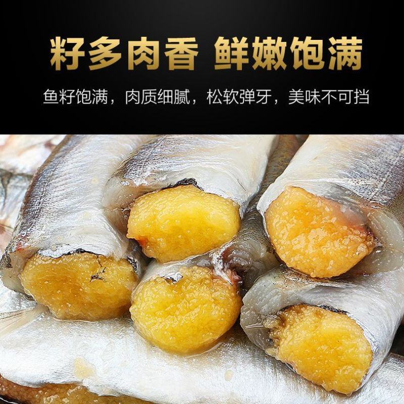 北海湾多春鱼满籽新鲜多籽鱼冷冻鲜活海鲜水产特大海鱼烧烤食
