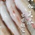 开海新捕九肚鱼水龙鱼特级豆腐鱼速冻水潺狗肚宝宝辅食龙头鱼