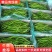 夏邑青条线椒黑条二荆条大量上市全国代发质量保证
