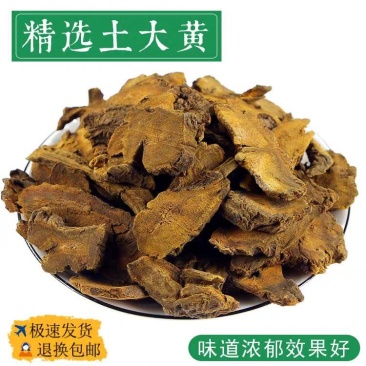 包邮）土大黄中药材正宗羊蹄根洋铁叶牛西西非野生