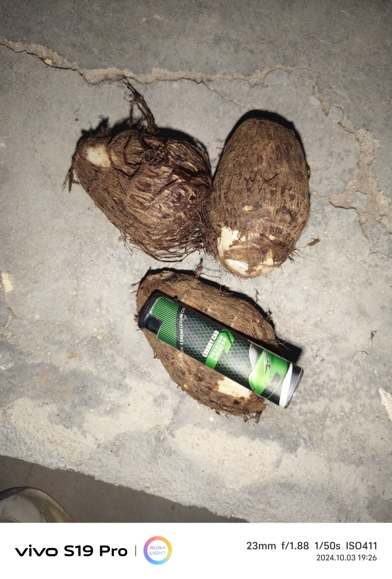 高品质毛芋头
