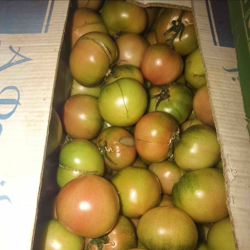 铁皮西红柿漏