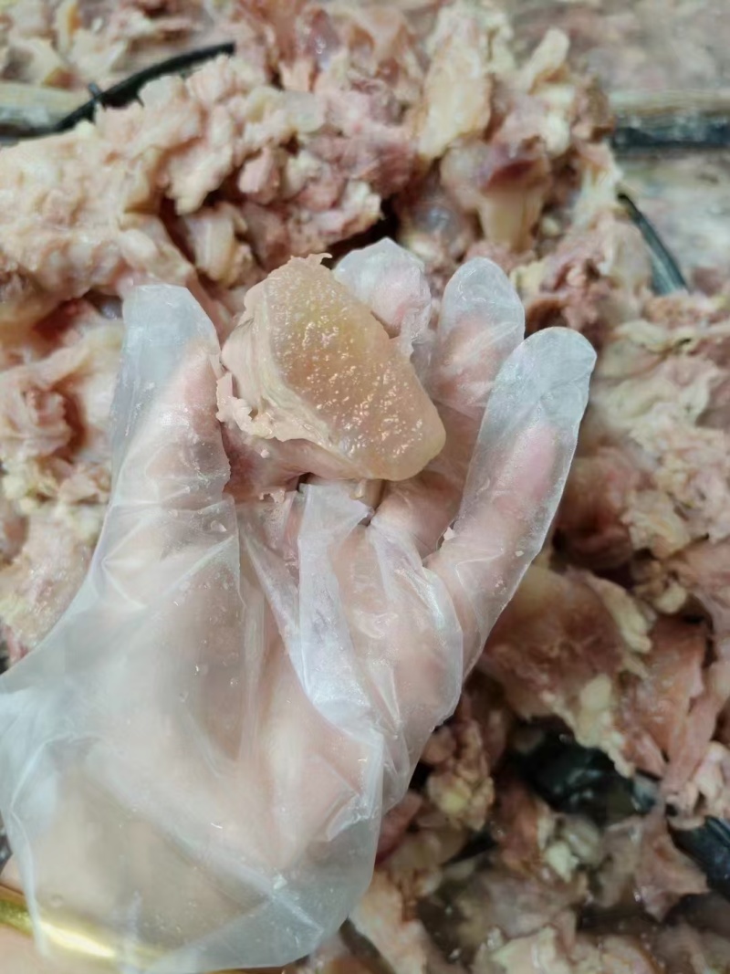 筋头巴脑美味劲道欢迎各位老板选购