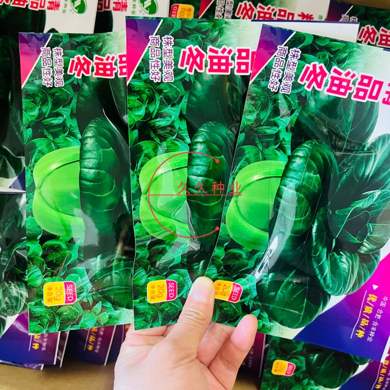 精品油冬小青菜种子上海青种子秋天种的菜种蔬菜籽种孑子油莱