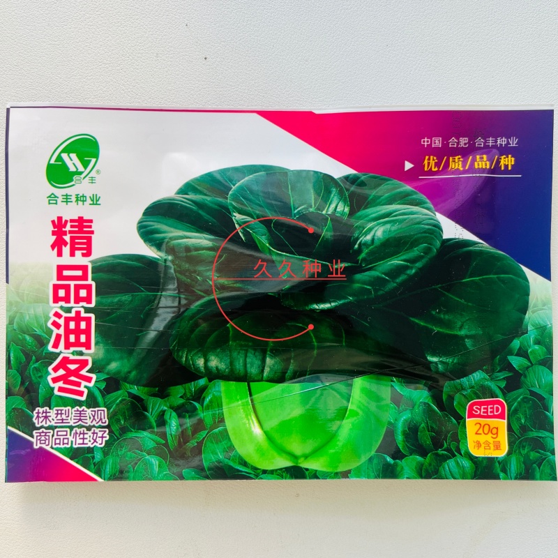 精品油冬小青菜种子上海青种子秋天种的菜种蔬菜籽种孑子油莱