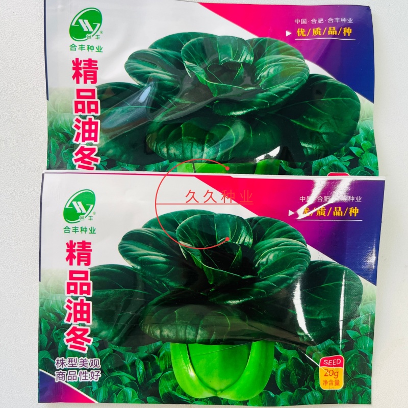 精品油冬小青菜种子上海青种子秋天种的菜种蔬菜籽种孑子油莱