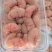 鸡子鸡腰子鸡春新鲜A货屠宰场每天供应800斤