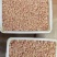鸡子鸡腰子鸡春新鲜A货屠宰场每天供应800斤