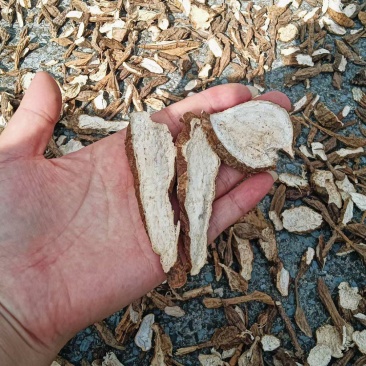 黑牛野生黑牛大力干货