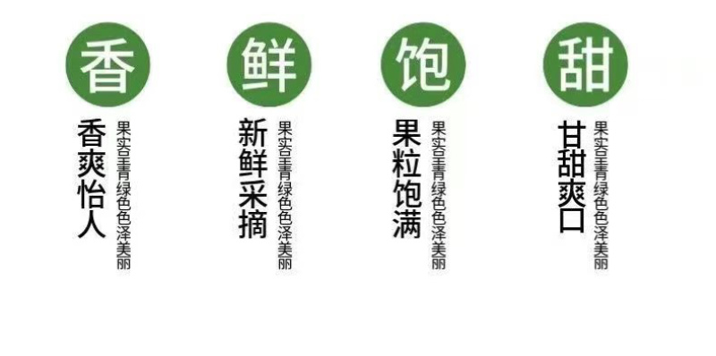 原产地青州蜜桃一件代发
