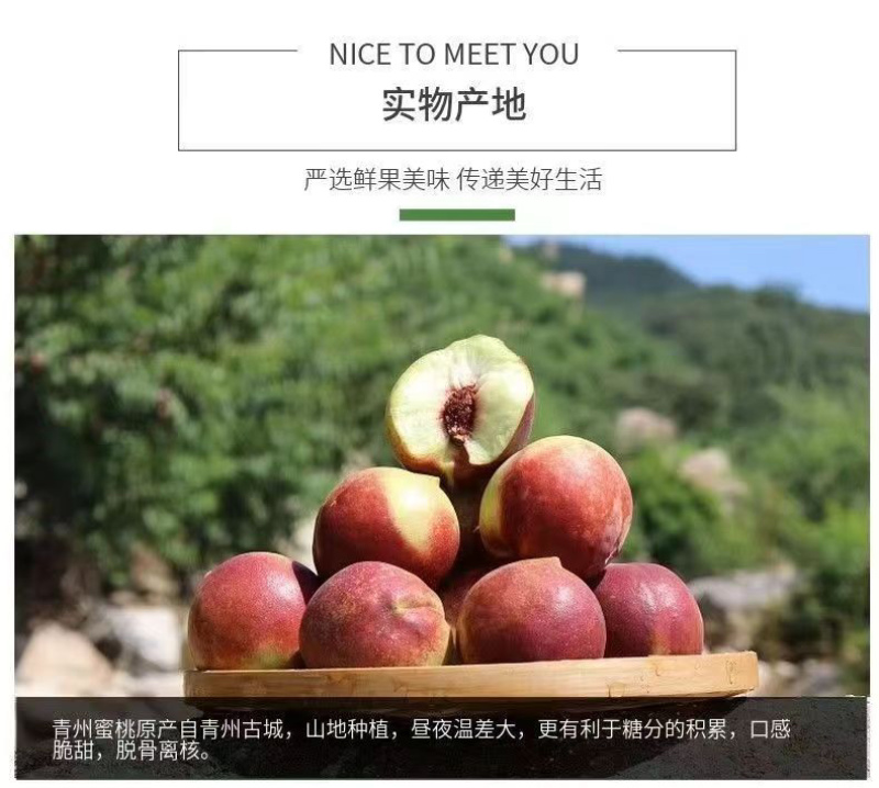 原产地青州蜜桃一件代发